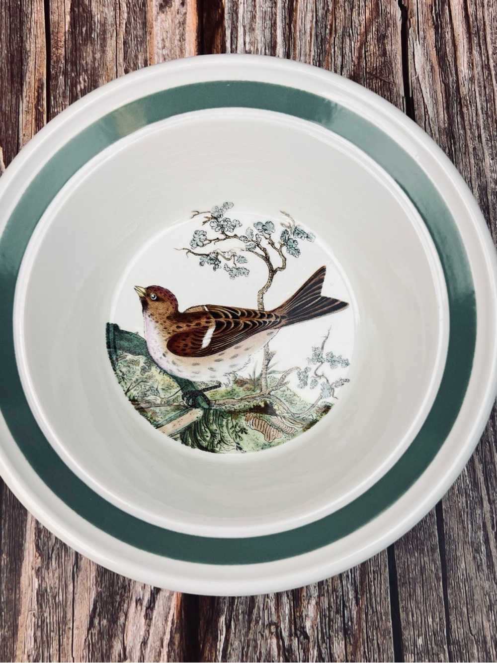 6 1/2” Cereal Bowl Portmeirion Birds of Britain Redpoll Vintage Dinnerware